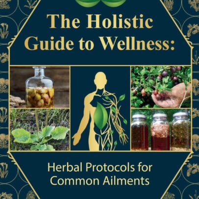 The Holistic Guide to Wellness : Herbal Protocols for Common Ailments